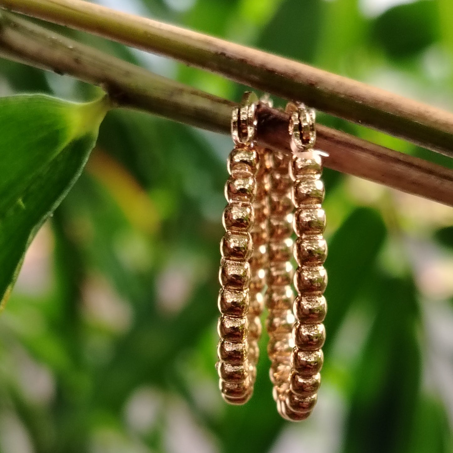 Golden Oval Hoops on Bamboo Branch