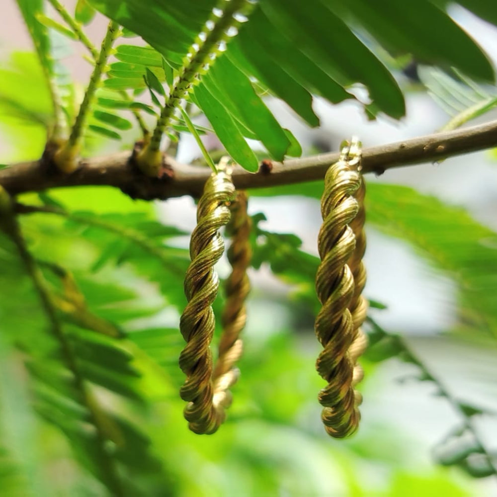 Gold hoop earrings hanging from a branch with green leaves.