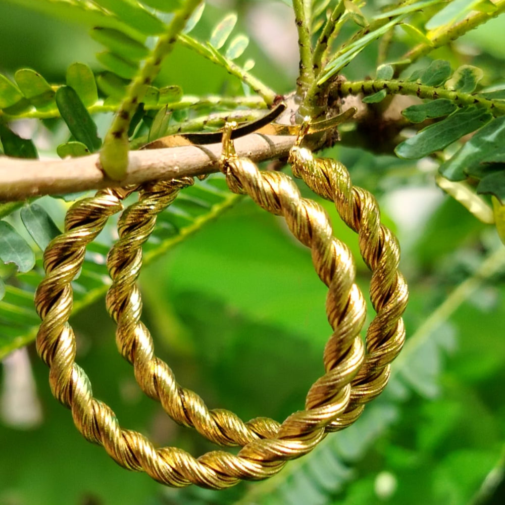 Golden Hoop earrings on a branch with green leaves in the background