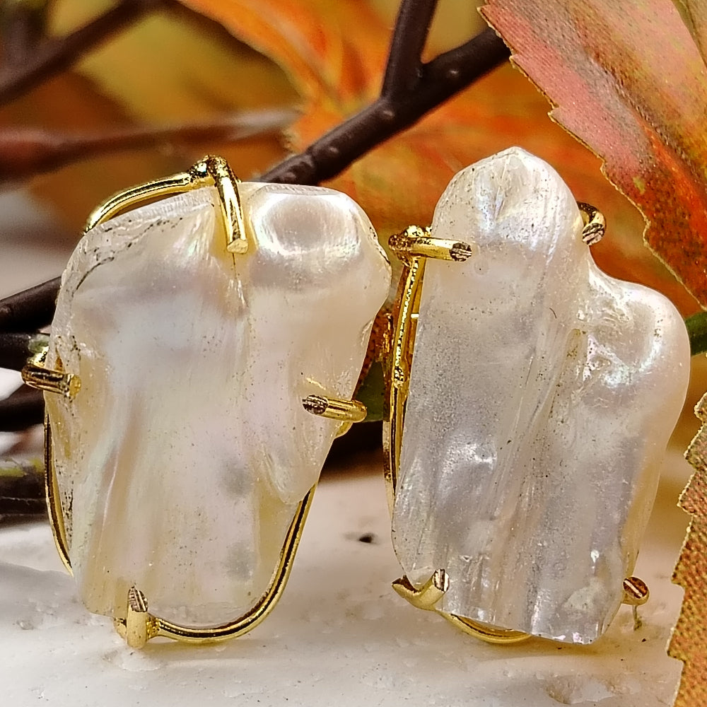 Pair of earrings with large Pearl on a decorative background