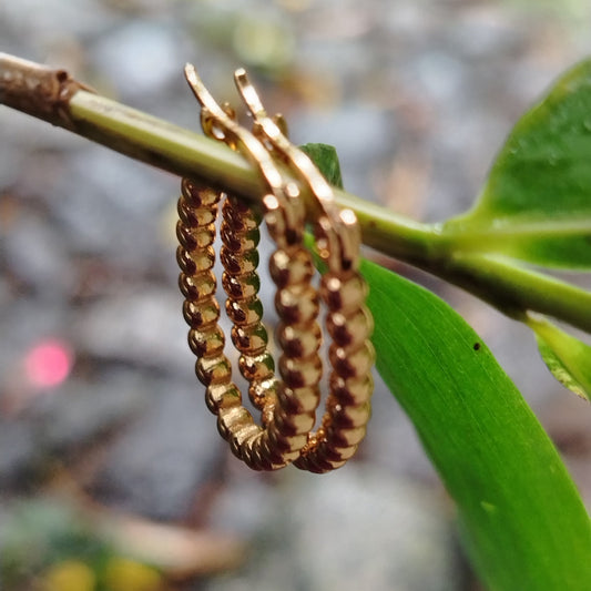 Golden Oval Hoops on a Bamboo Branch 