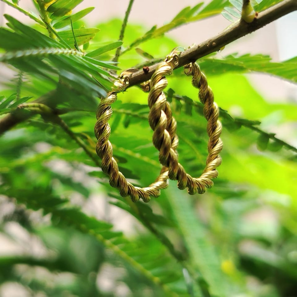 Gold hoop earrings hanging on a branch with green leaves