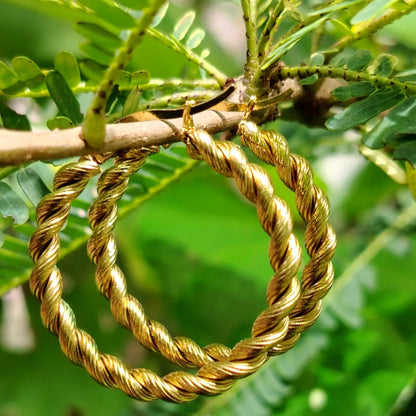 Golden Hoop earrings on a branch with green leaves in the background